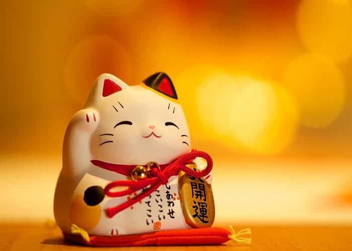 8 kiểu mèo may mắn bán chạy nhất 2021 - 2022 – Tạp Chí Thể Thao